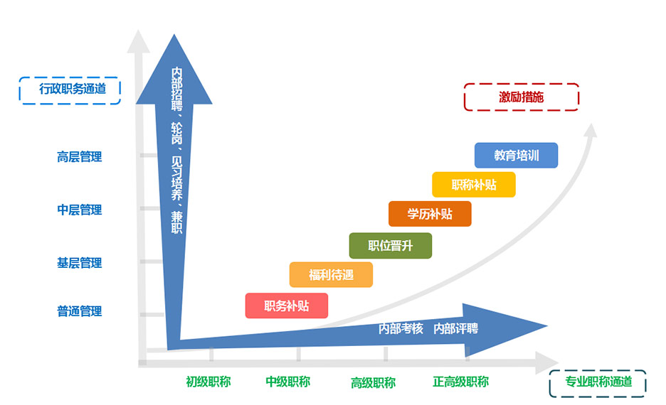 雙軌制職業(yè)規(guī)劃發(fā)展體系